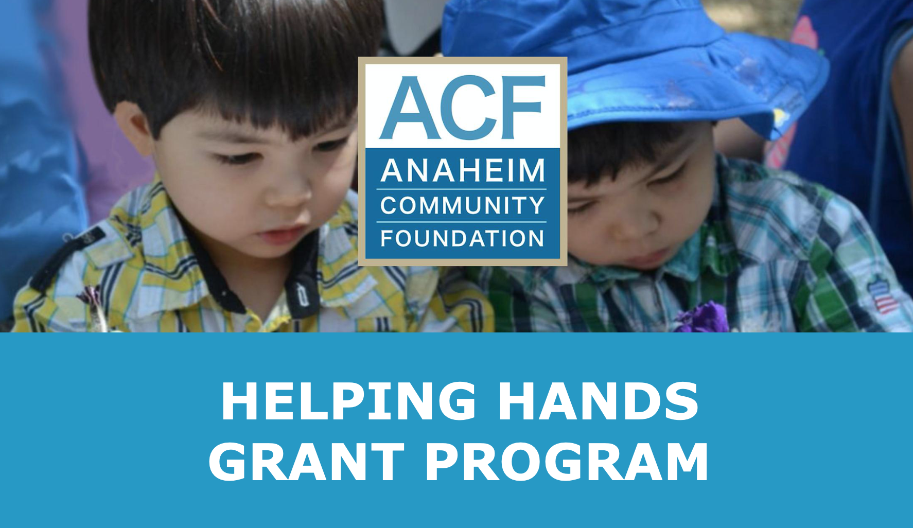 2020 Helping Hands Grant Application Survey