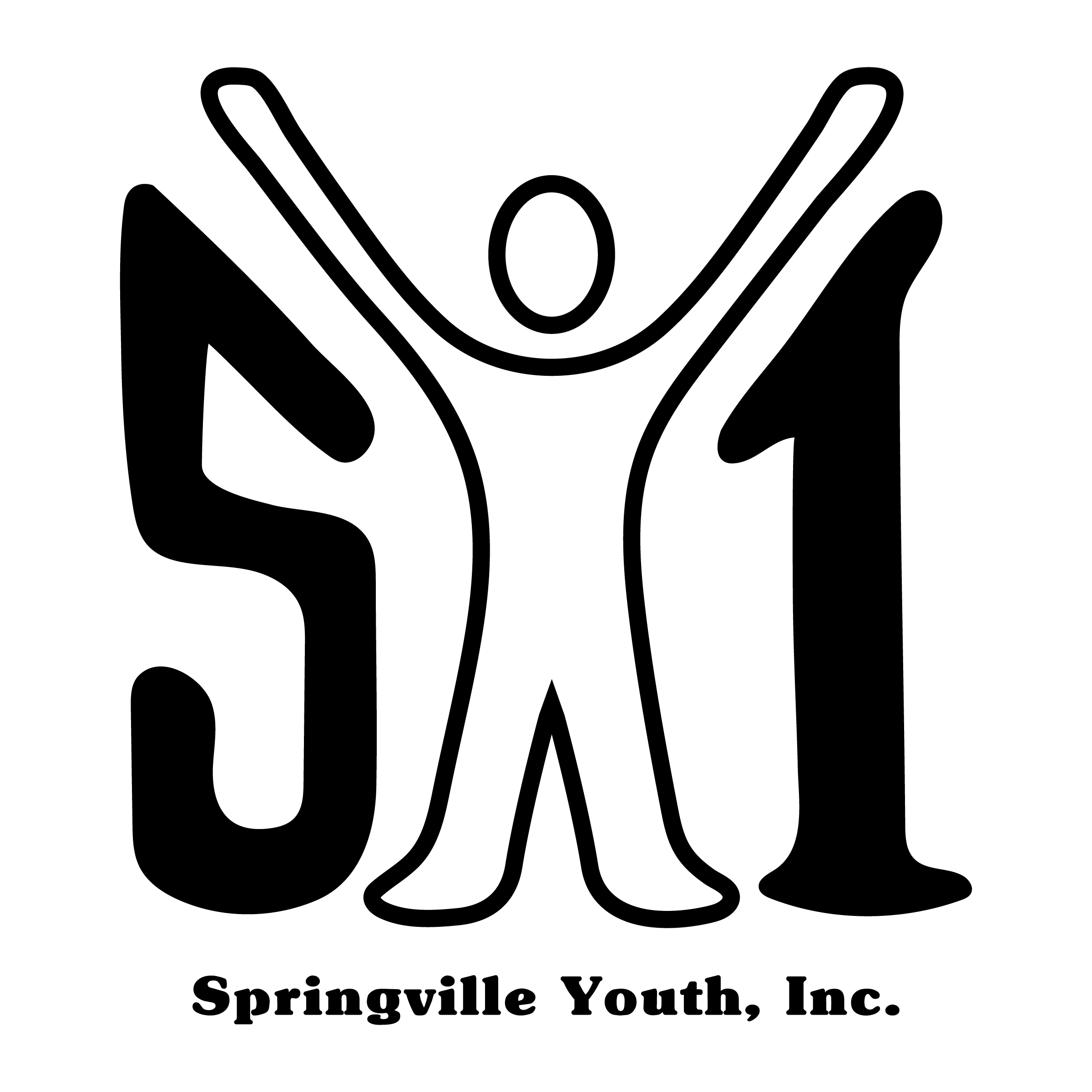 Springville Youth, Inc. Recreation Programs Survey
