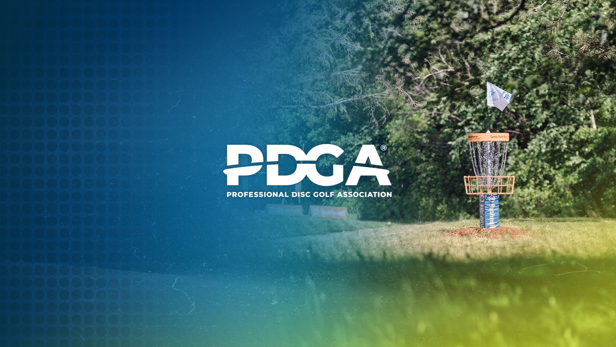 Official Rules of Disc Golf Survey