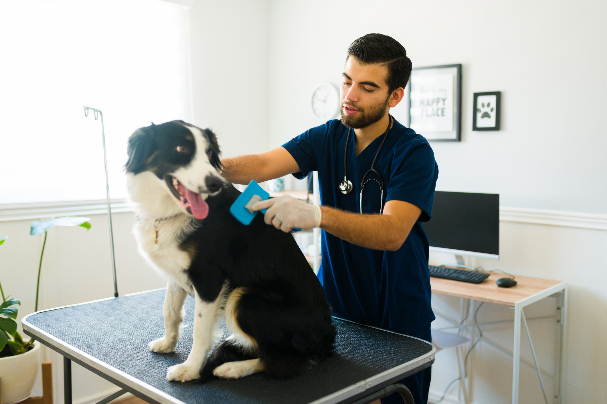 Grooming services