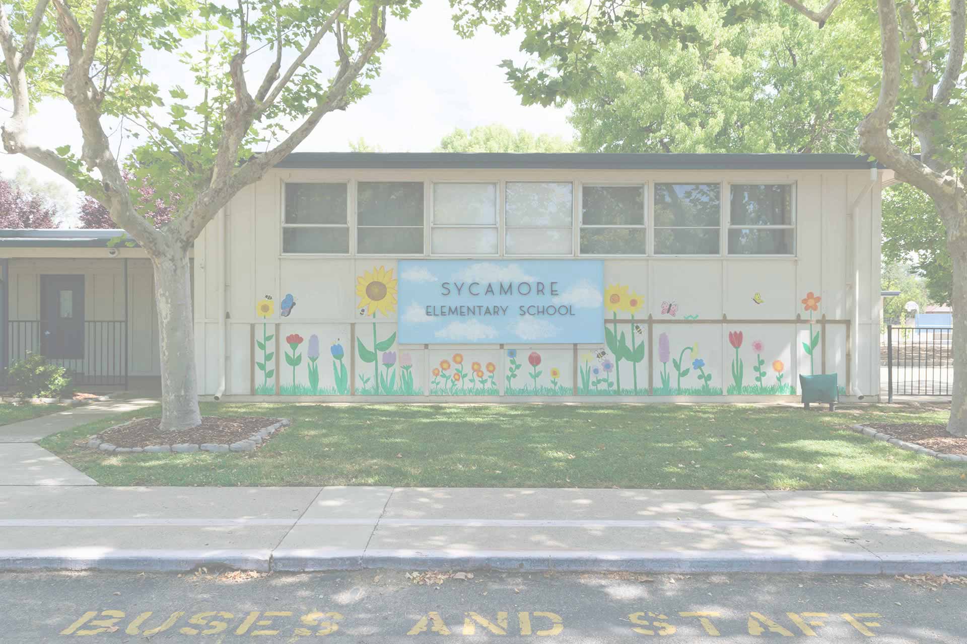 Sycamore School Selection Survey July 2226, 20202021