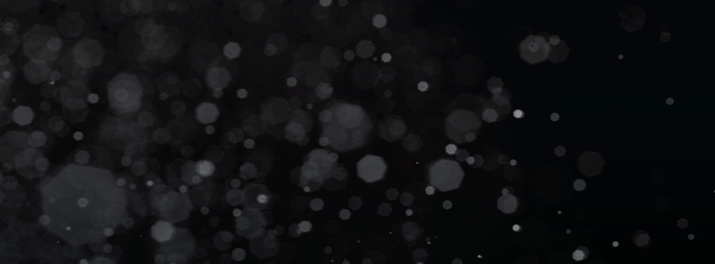 2020 Excellence Awards Electrician of the Year (Tradie) Survey