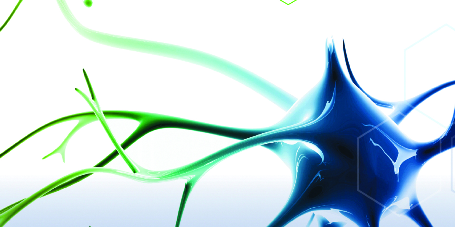 Bhv 7000 epilepsy program interest survey for idiopathic generalized