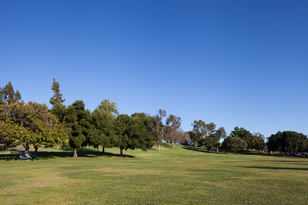 Alhambra Parks Improvement Survey