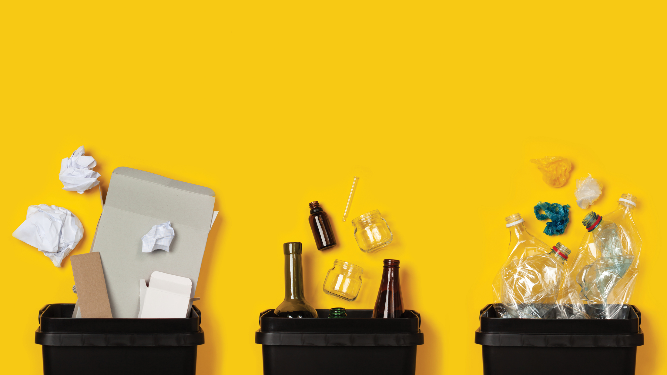 Recycling and Waste Management Survey 2021