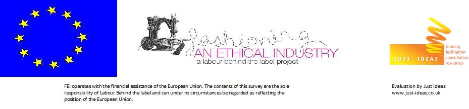 FEI evaluation banner