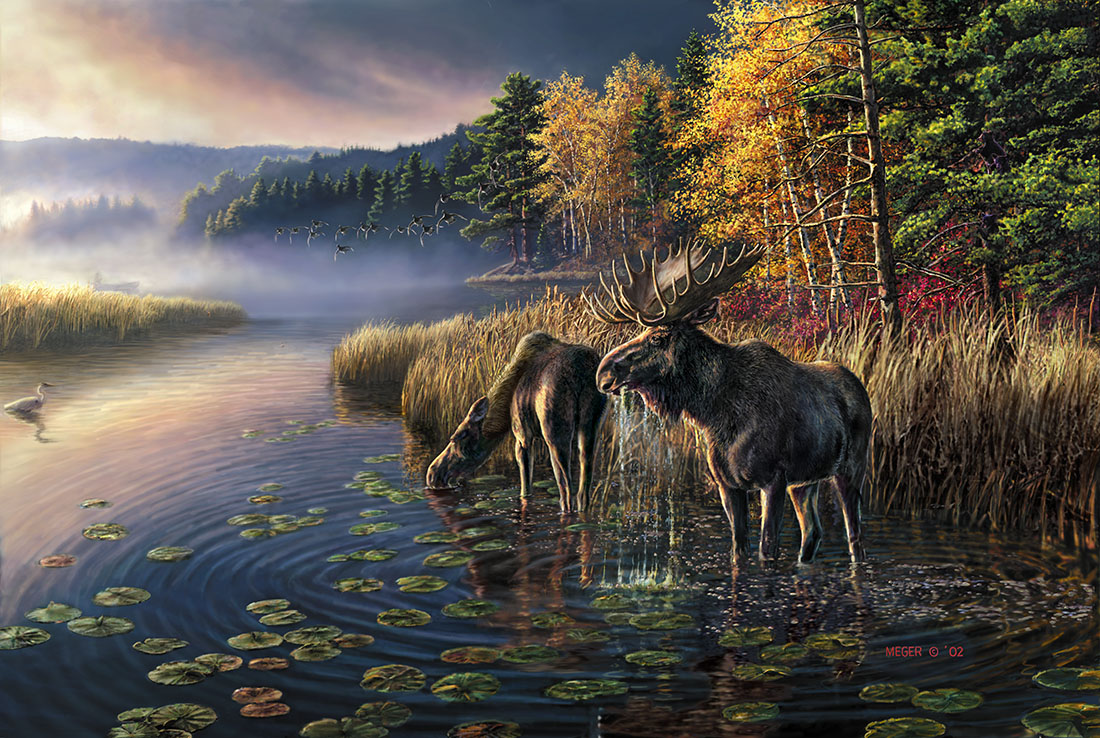 Canoe Country