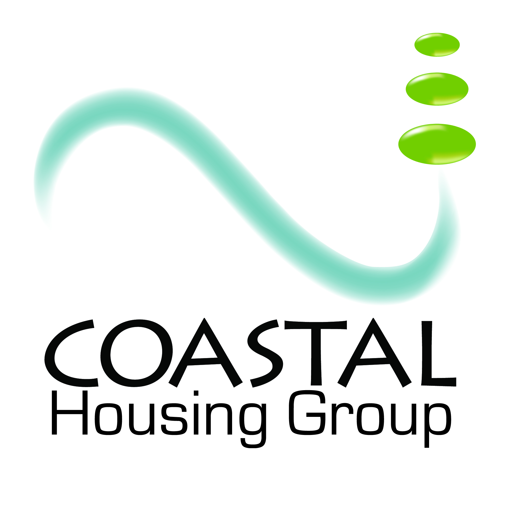 Coastal Housing Group High Street Swansea Survey