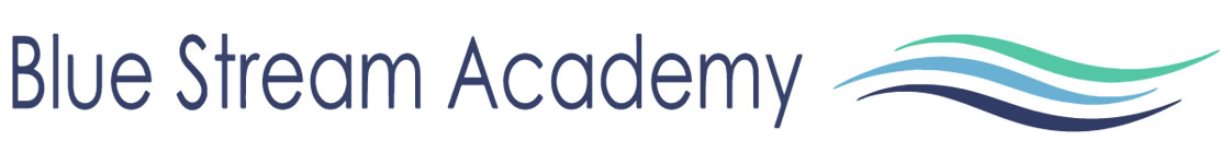 Blue Stream Academy Feedback 2019 Survey
