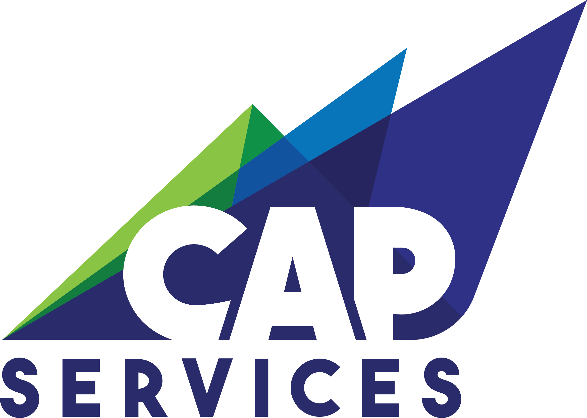CAP Services, Inc. Community Partner Survey 2019