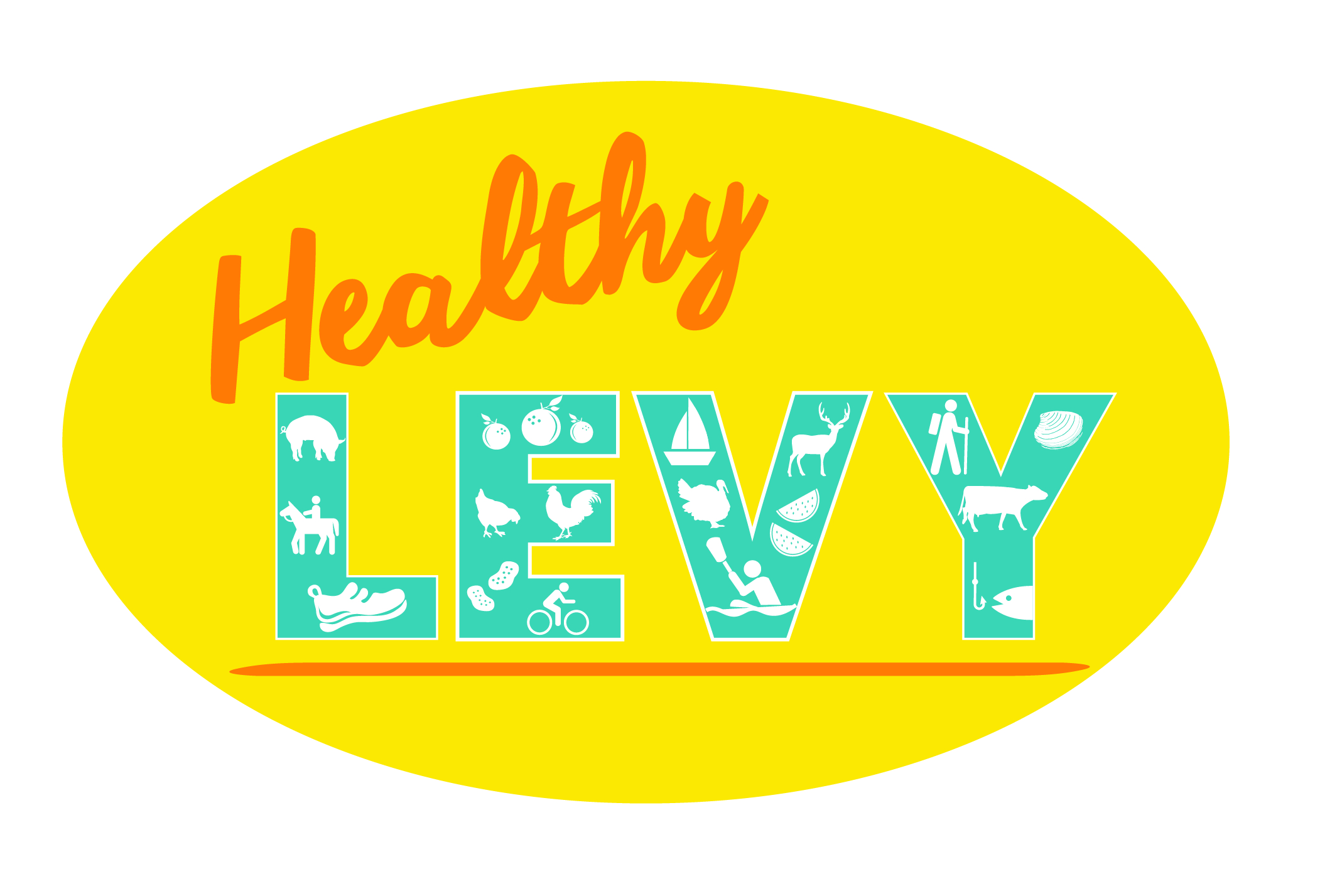 Healthy Levy Partner Sign Up Survey