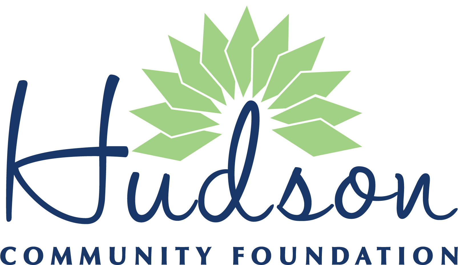 Hudson Community Foundation Online Survey