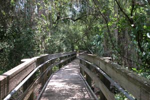 Moccasin Lake Nature Park.  East of US 19 and North of Drew Street.