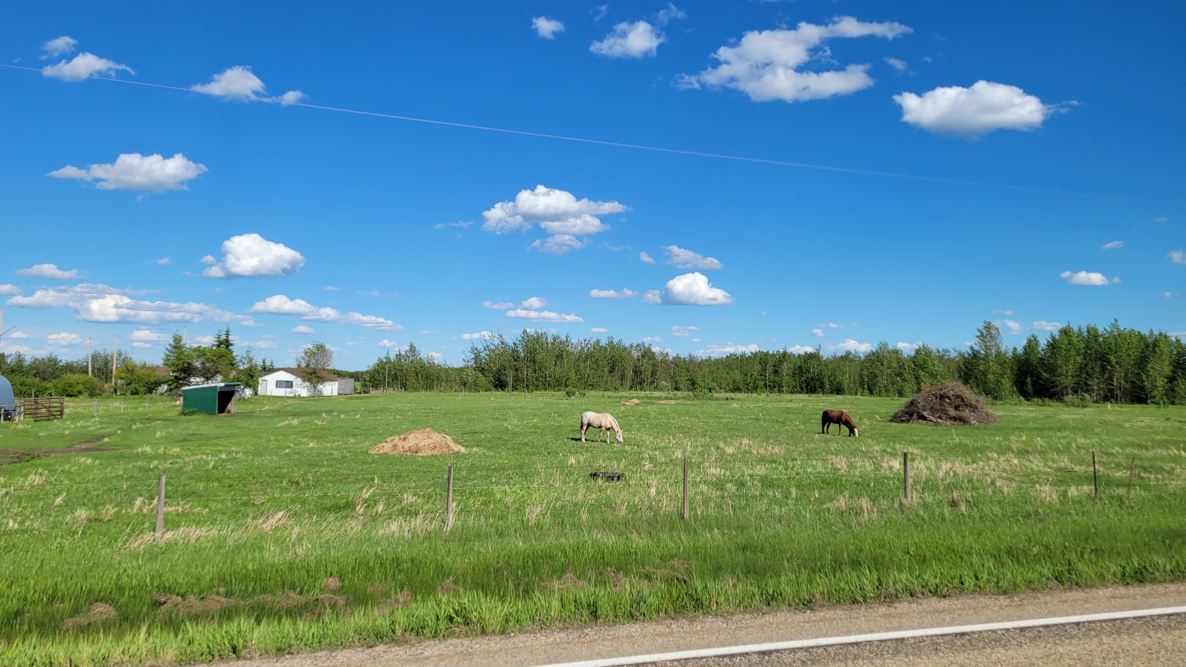 Thorhild County Land Use Bylaw Citizen Survey Thorhild County Land Use Bylaw Citizen Survey