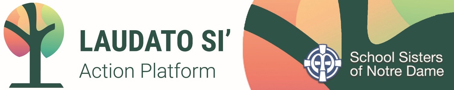 Laudato Si' Action Platform: School Sisters of