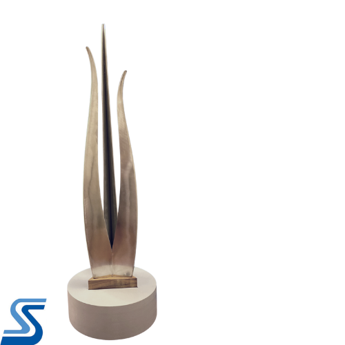  Seth Emerson Palmiter 