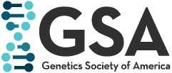 GSA logo