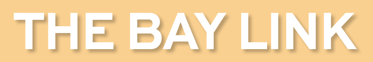 The Bay Link blog logo