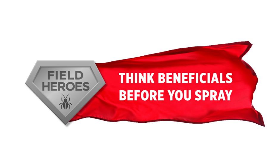 Field Heroes logo with shield and cape