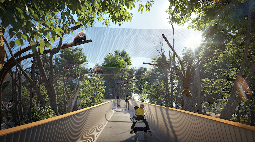 Image D - Elevated path through Tree Kangaroo and Red Panda arboreal habitats