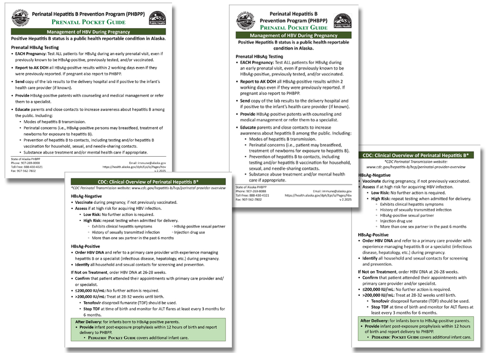 Prenatal Pocket Guide