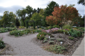 Demonstration garden