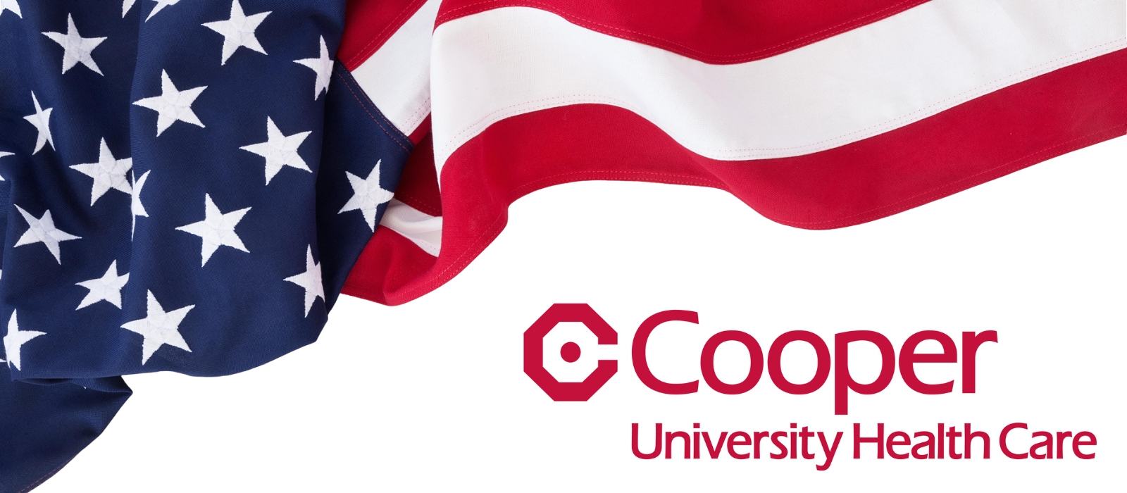 veterans day celebration image