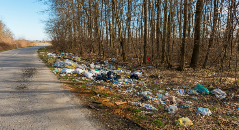 Cuyahoga County Solid Waste District 2024 Litter Collection Program Survey
