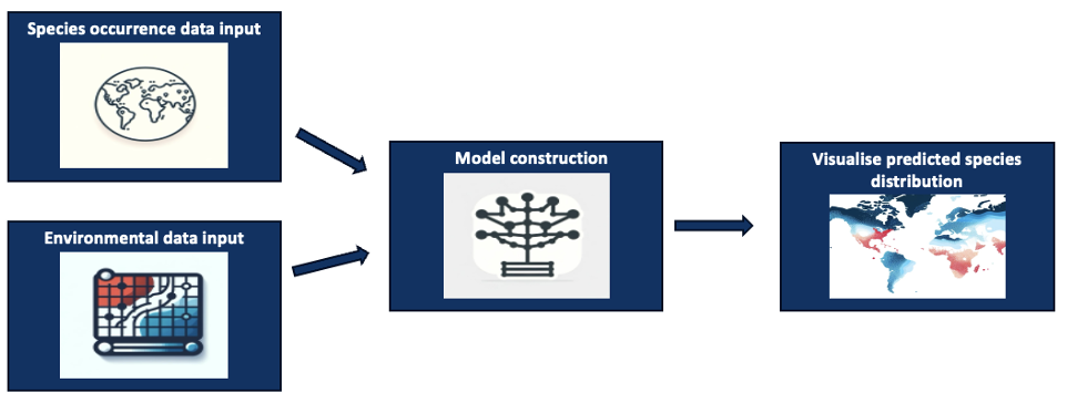 <span style="text-decoration: underline;"><strong>Figure 1: High Level SDM Overview</strong></span>