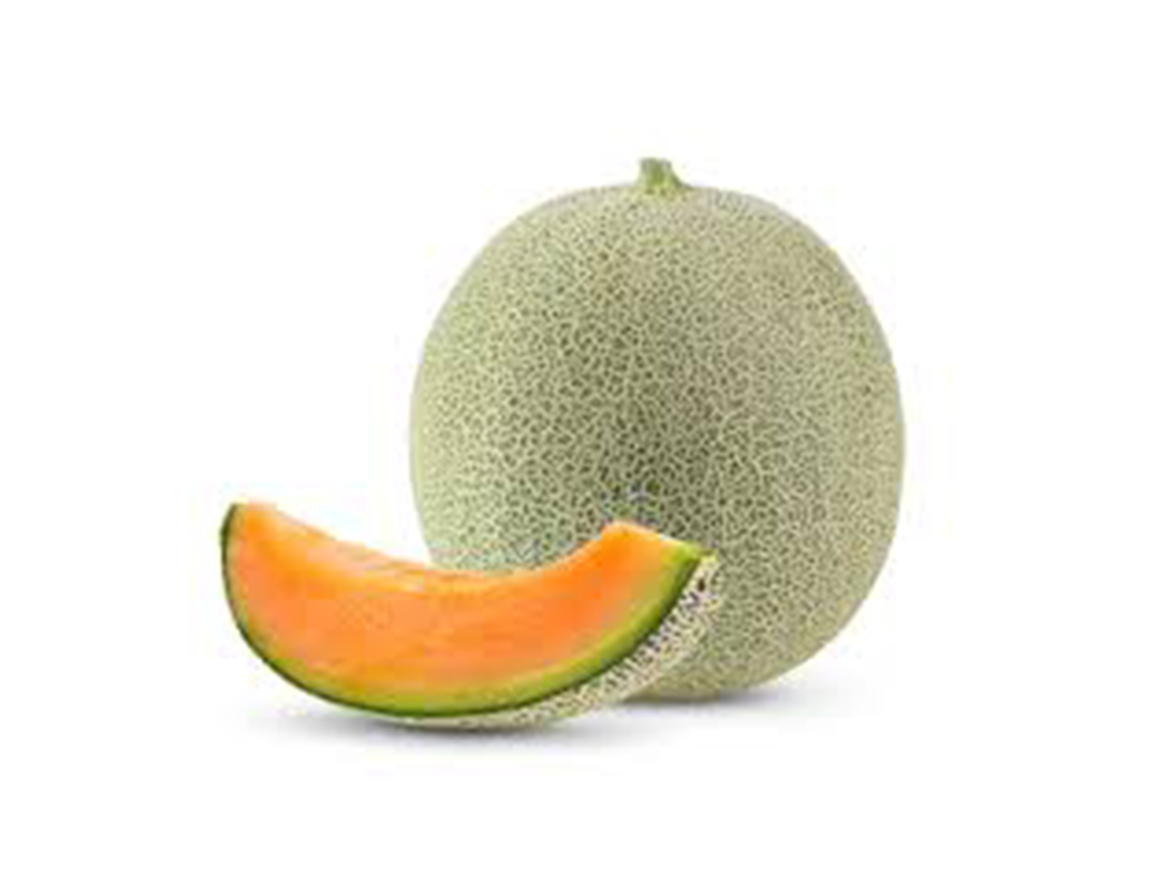   Cantaloup 