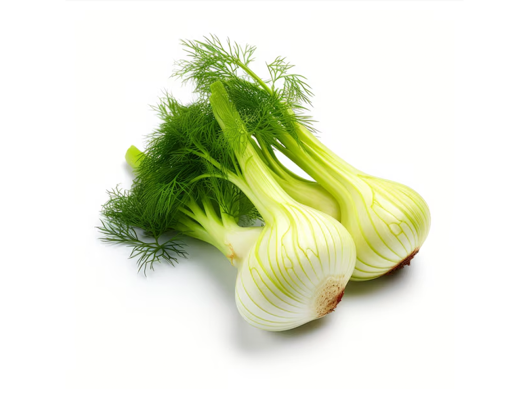   Fenouil 