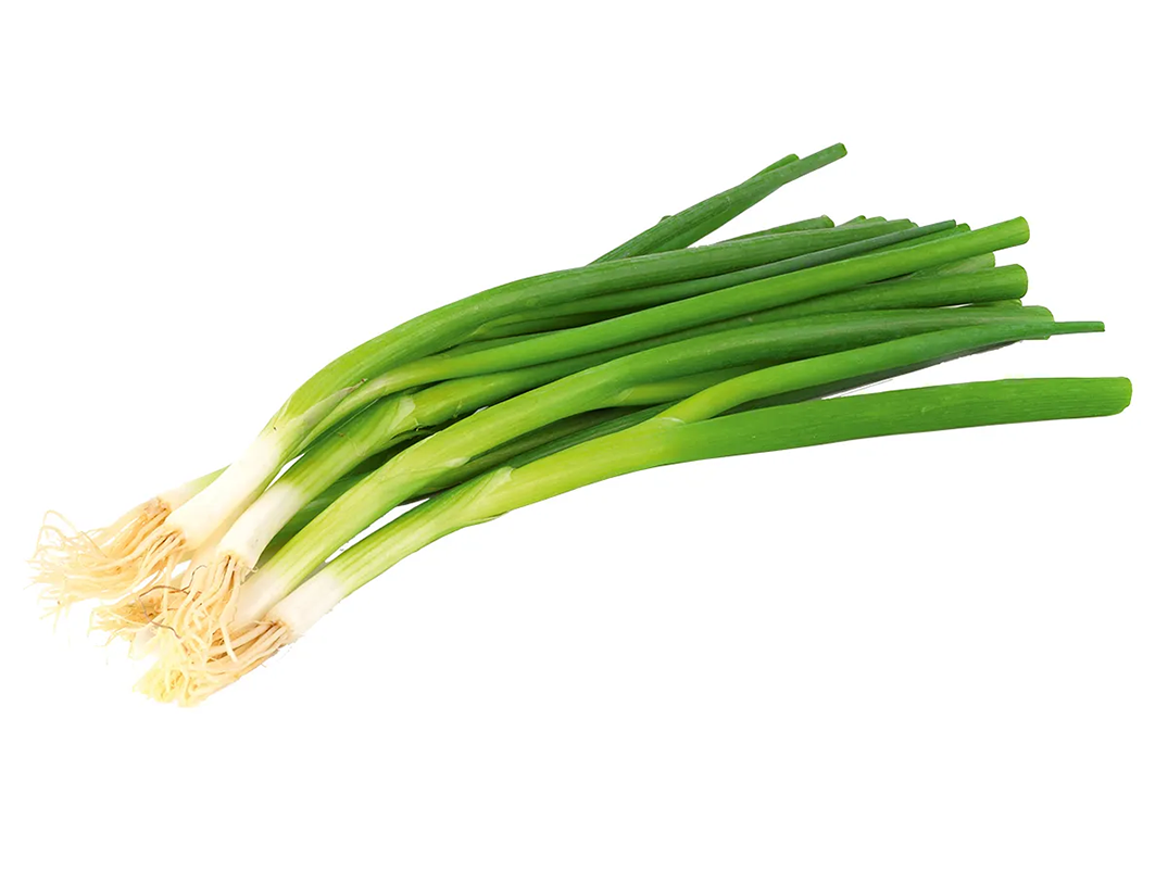   Cebolla verde 