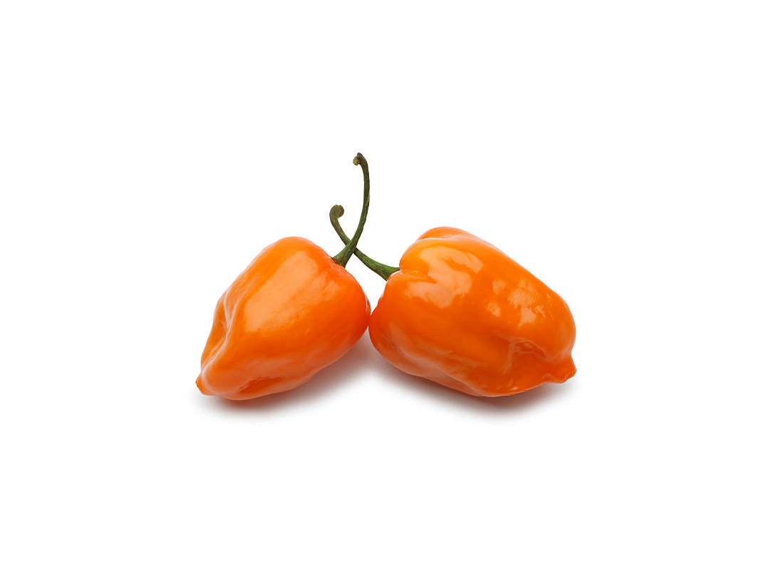   Chiles Habaneros 