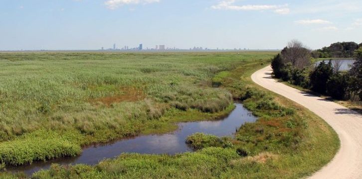  Conservación del medio ambiente 