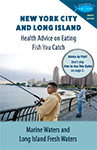image of NYC/LI brochure