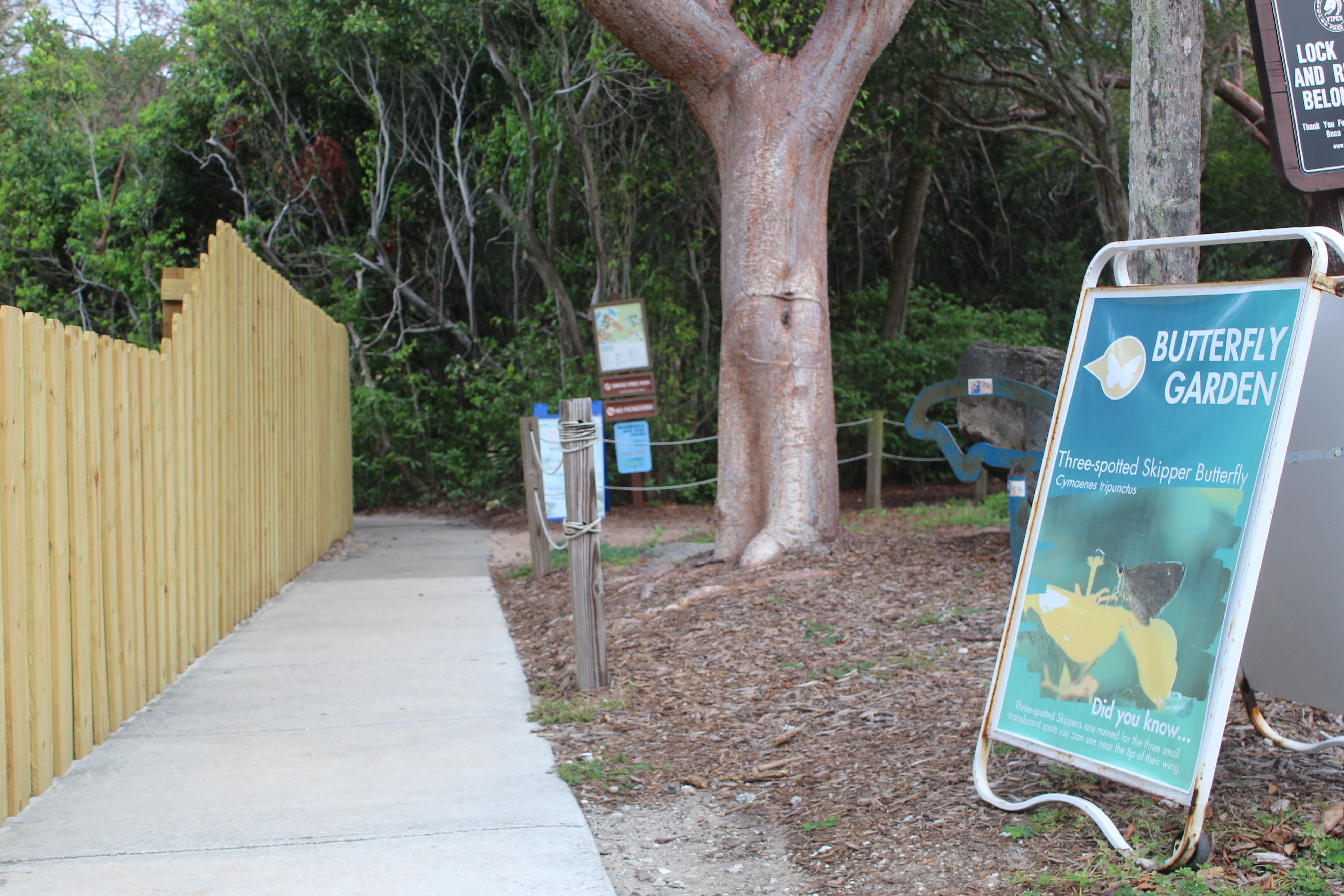Explore the butterfly garden at Gumbo Limbo Nature Center.