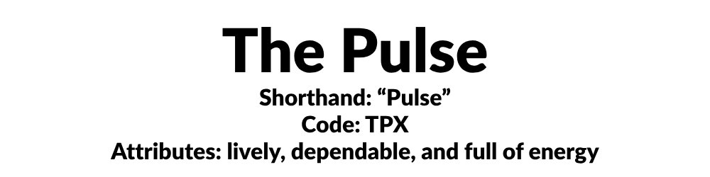 Mountain Town Express