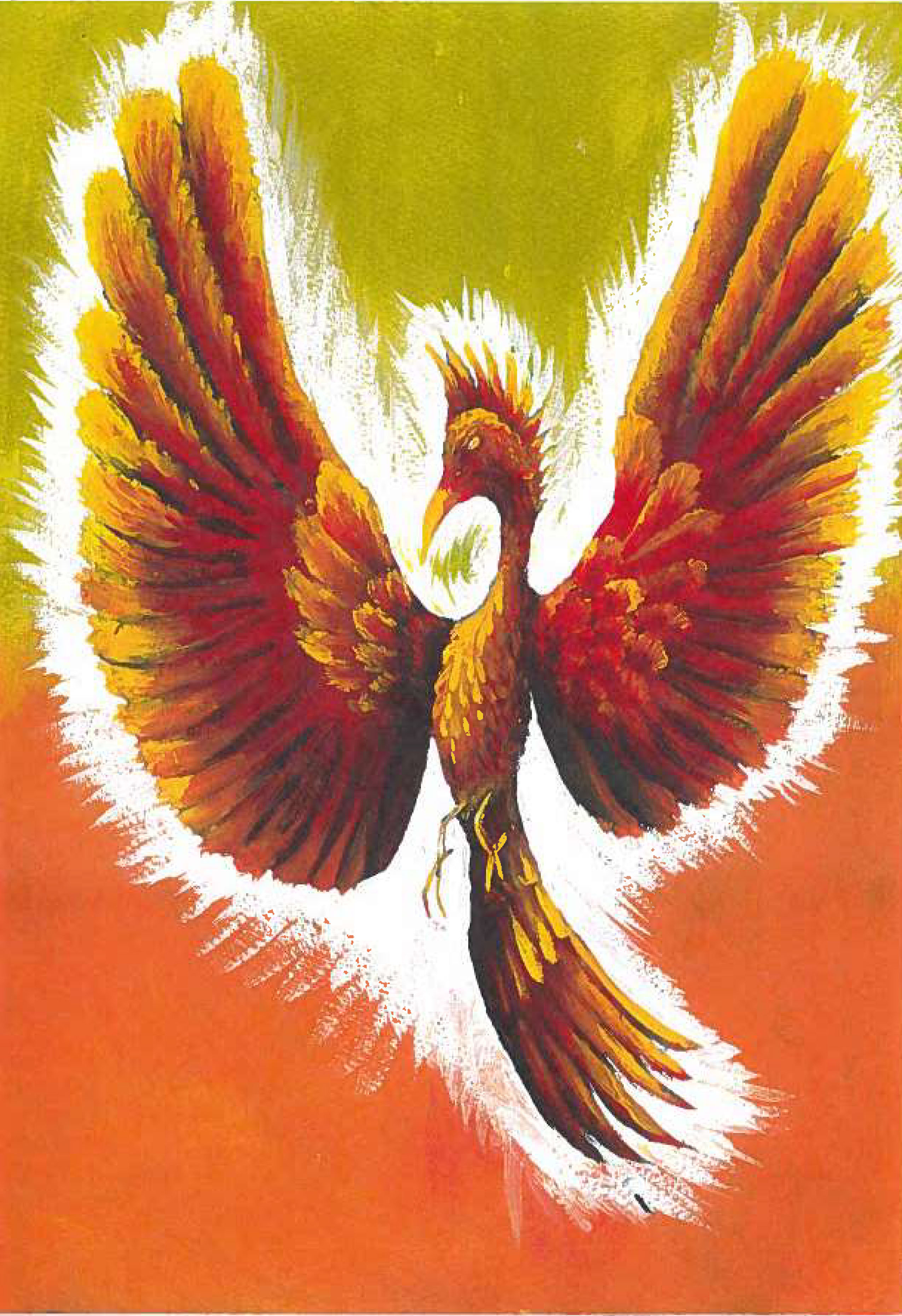 9th grade - Nicole Peterson, Roland High School, Roland