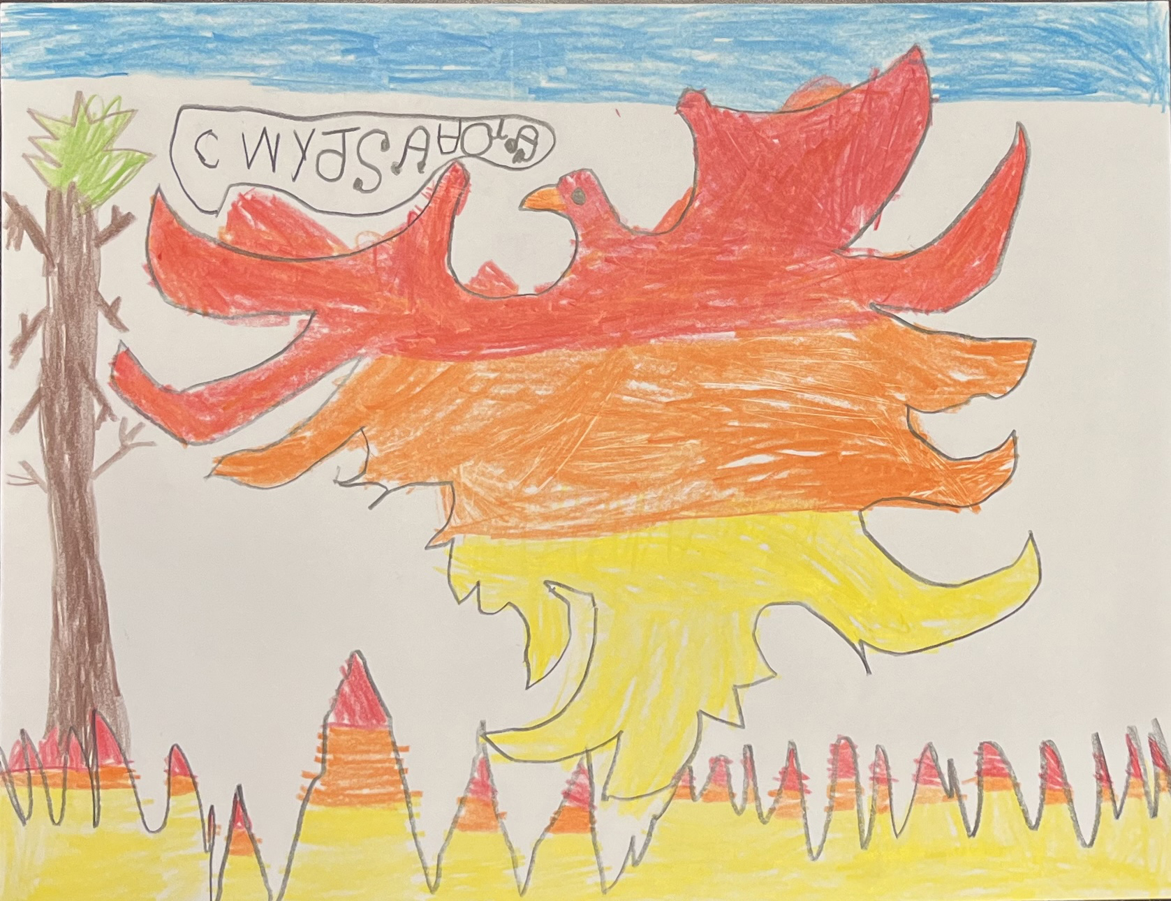 Braxton Harris, 1st grade, Hilldale Public School, Muskogee
