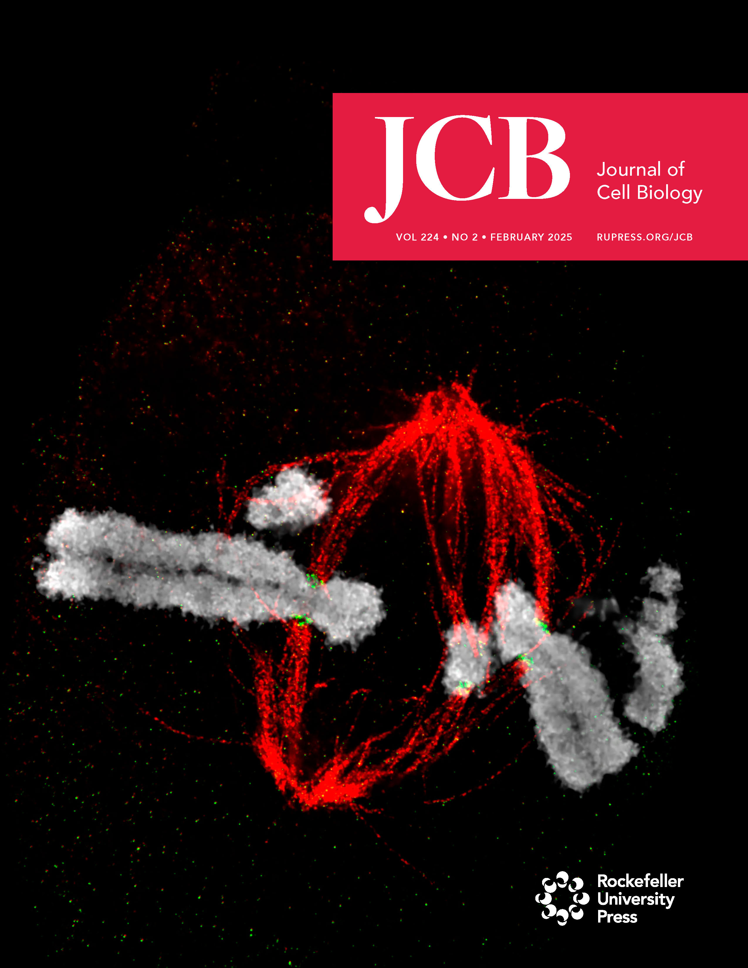 JCB February 2025 Cover