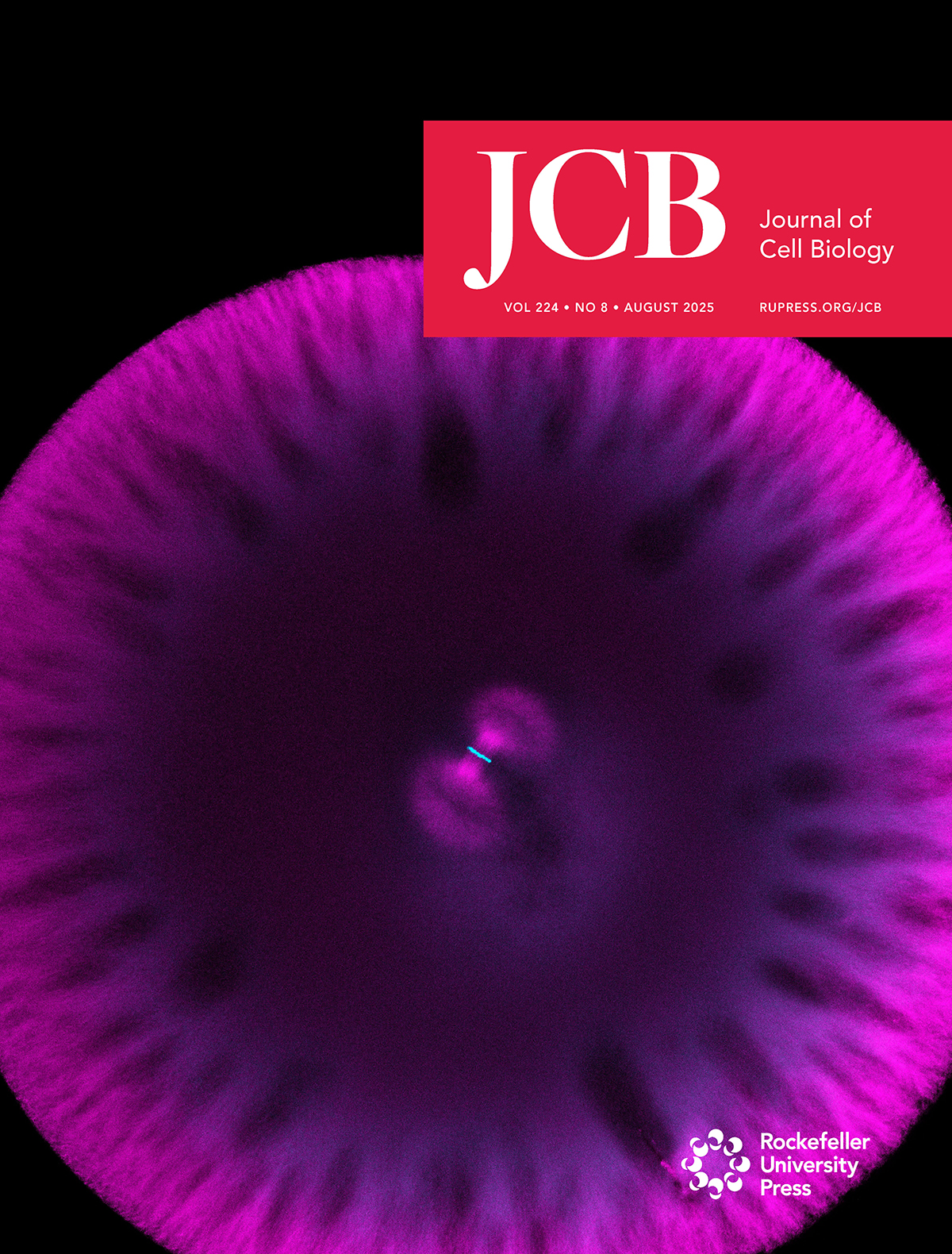 JCB August 2025 Cover
