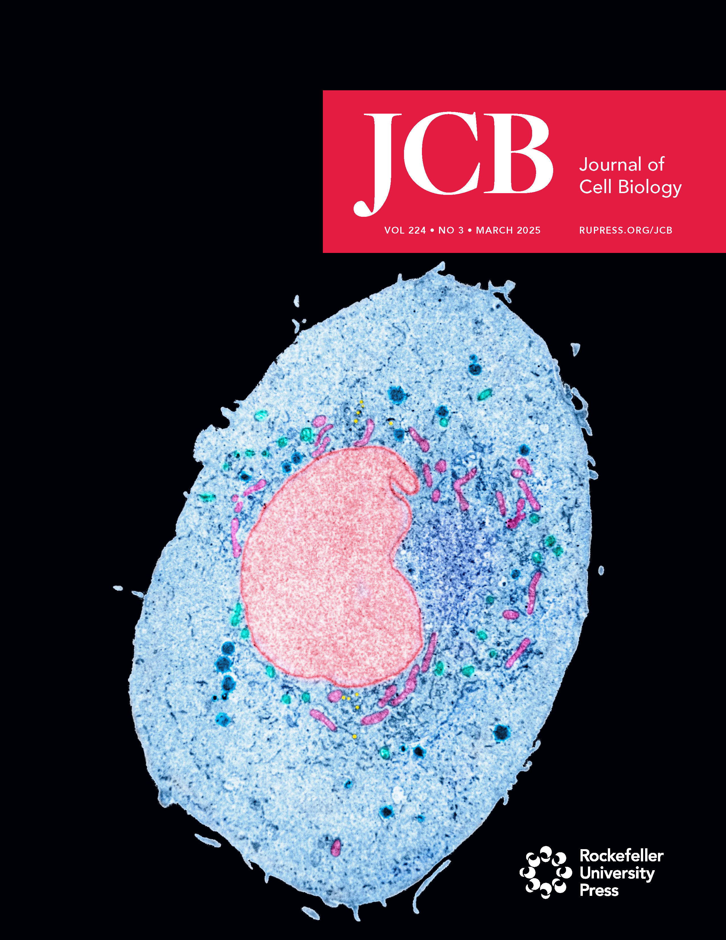 JCB March 2025 Cover