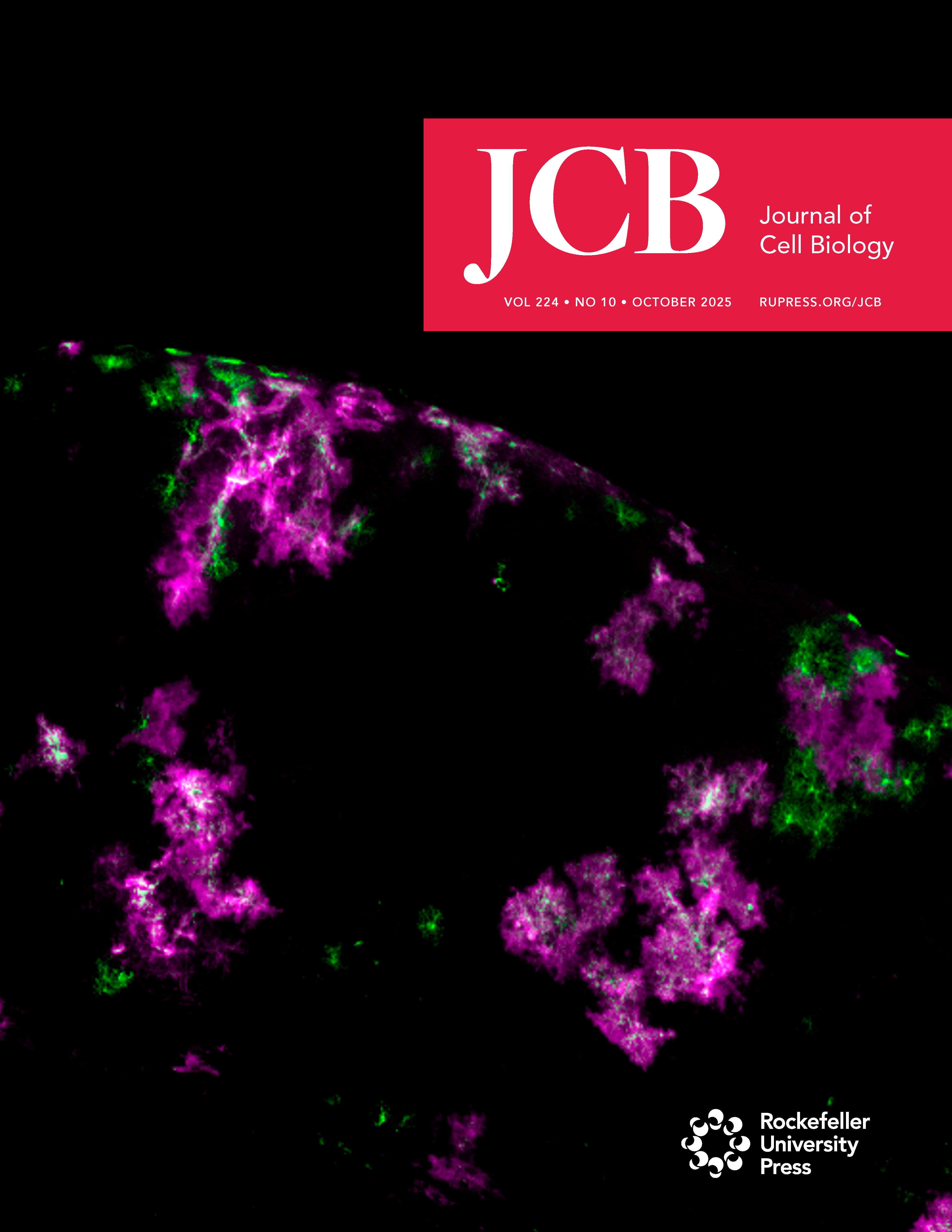 JCB October 2025 Cover