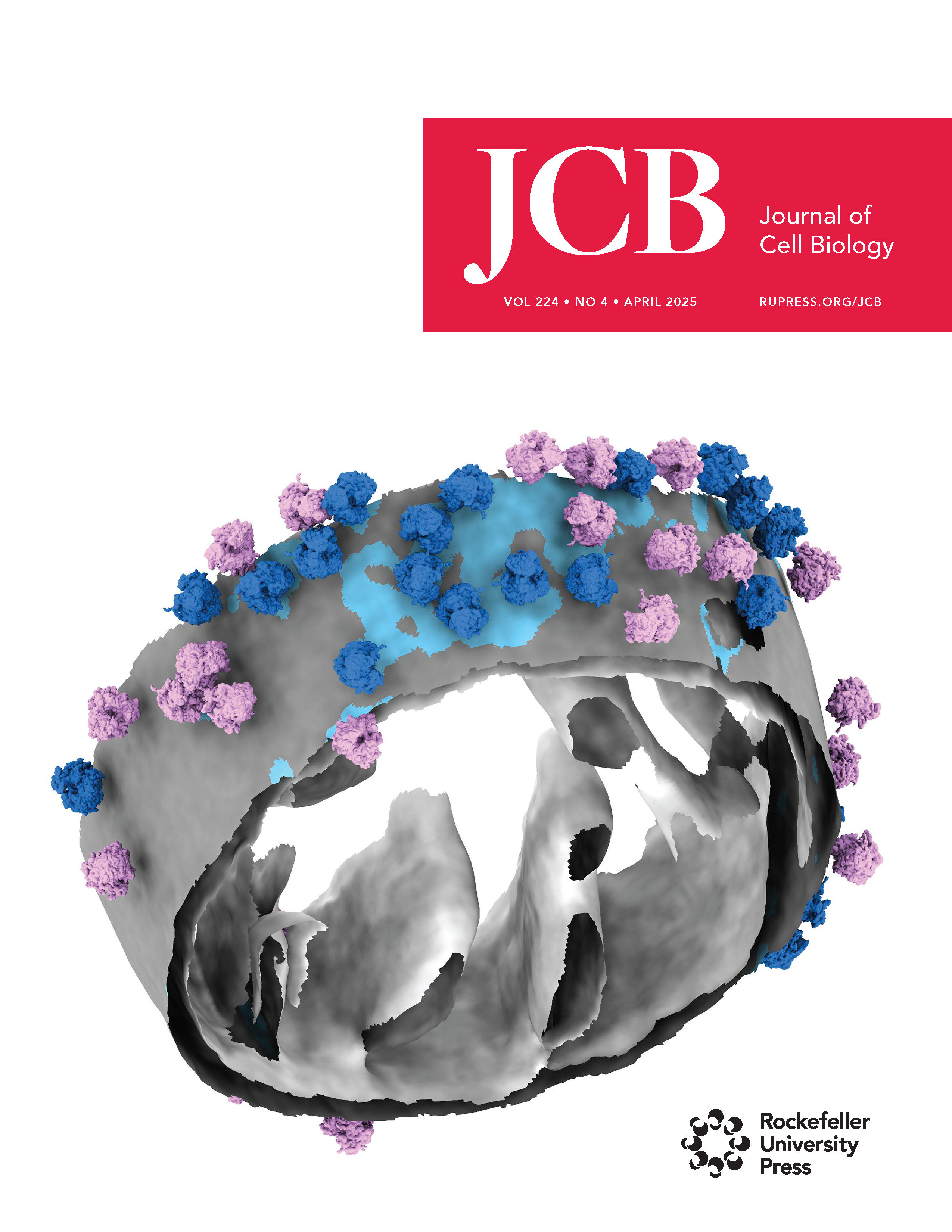 JCB April 2025 Cover