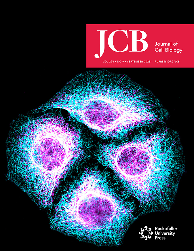 JCB September 2025 Cover