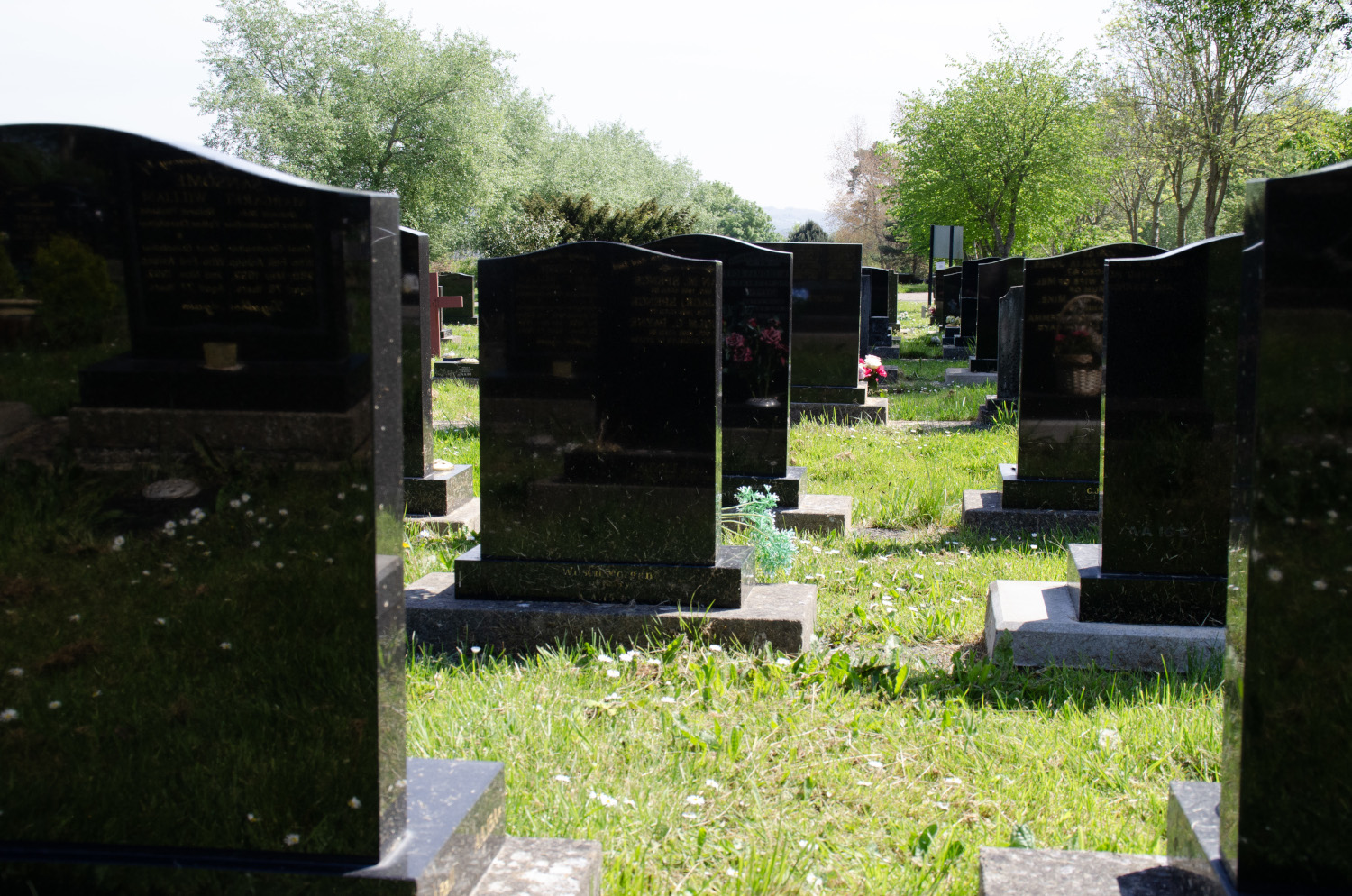  Merthyr Dyfan Cemetery 