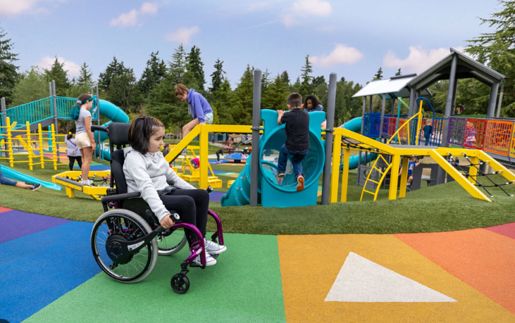  Inclusive/Accessible Play Features 
