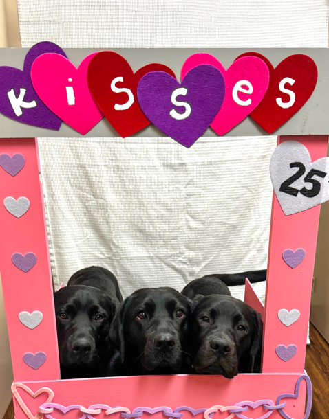 Iowa, Hudson, and Quaid, black Labrador retrievers, pose together inside a pink Valentine's Day photo frame decorated with hearts, kisses, and a 'Kisses' banner above them.