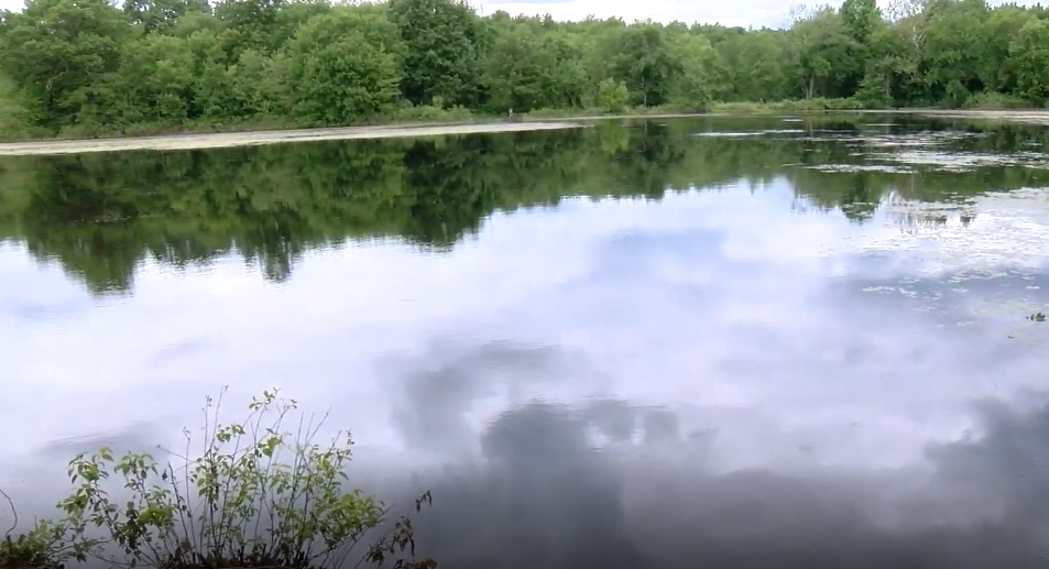 Photograph of Carver's Pond in Bridgewater