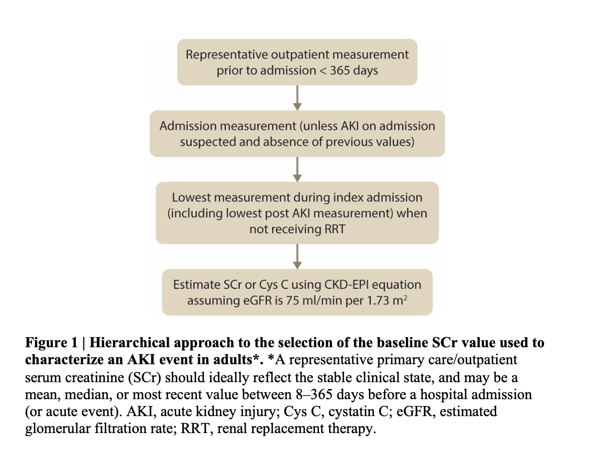 Figure 1 from the KDIGO AKI/AKD Guideline Public Review Draft